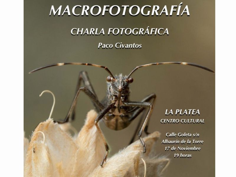 Una ventana al mundo&nbsp;diminuto