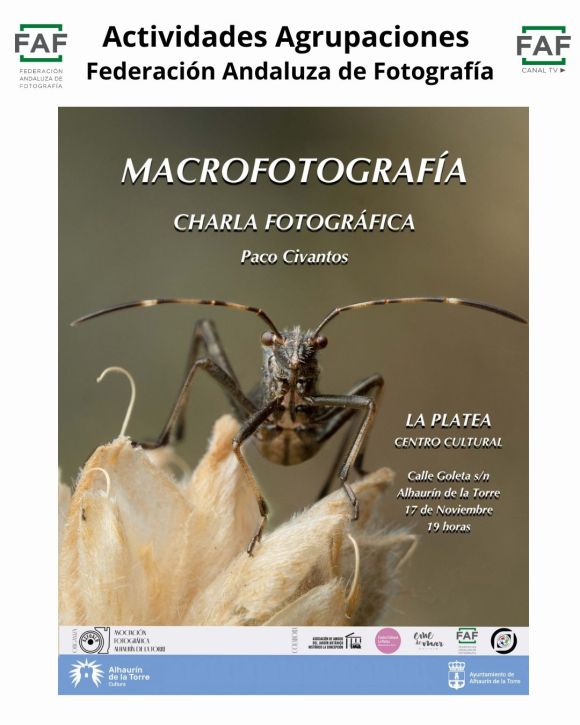 Una ventana al mundo&nbsp;diminuto