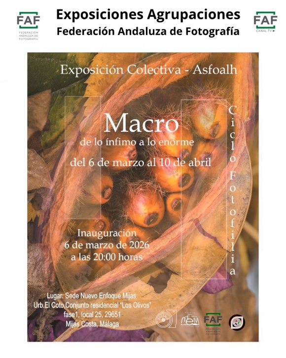 ASFOALH presenta en Mijas la exposición “MACRO, de lo ínfimo a lo&nbsp;enorme”